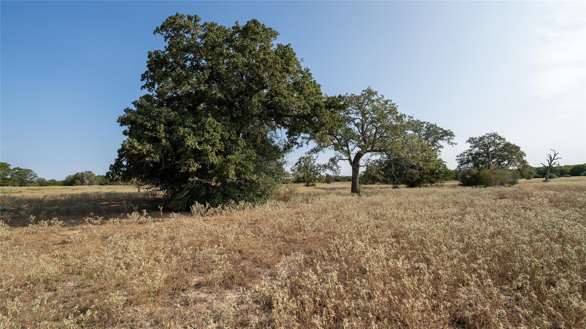TBD TRACT 5 CEDAR ROCK RD — photo 3