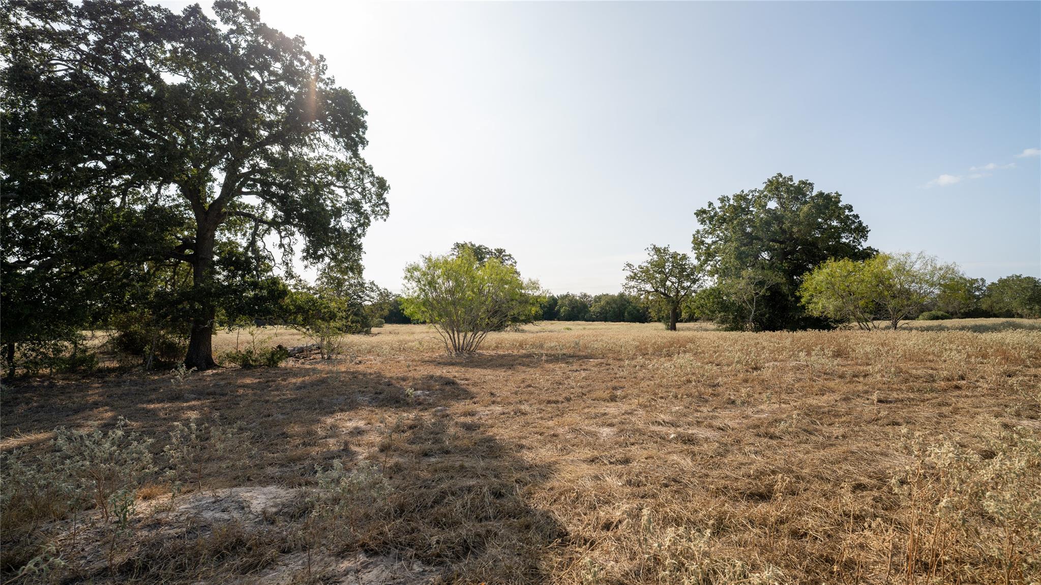 TBD TRACT 5 CEDAR ROCK RD — photo 4