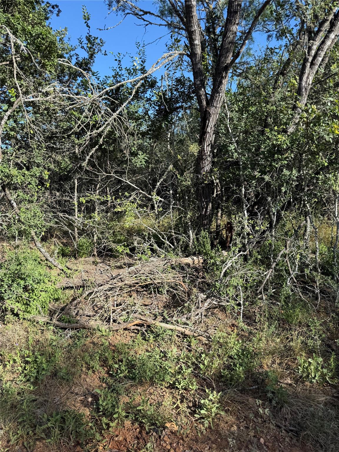 152 Helemano DR — photo 3