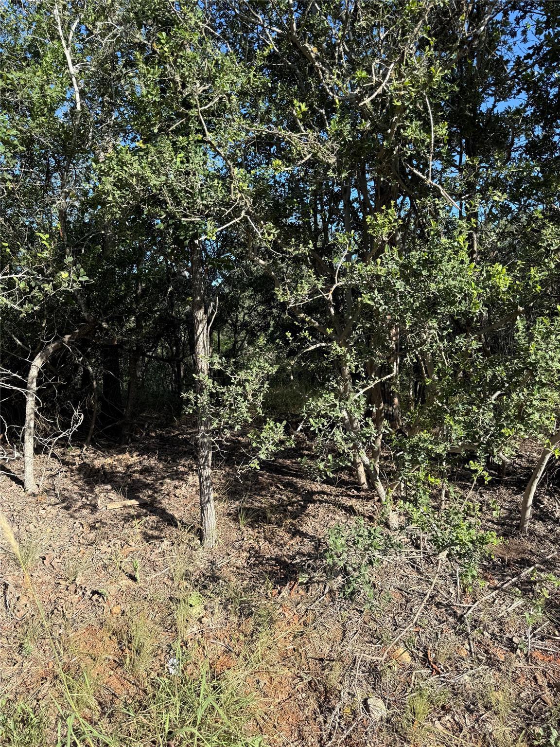 152 Helemano DR — photo 4
