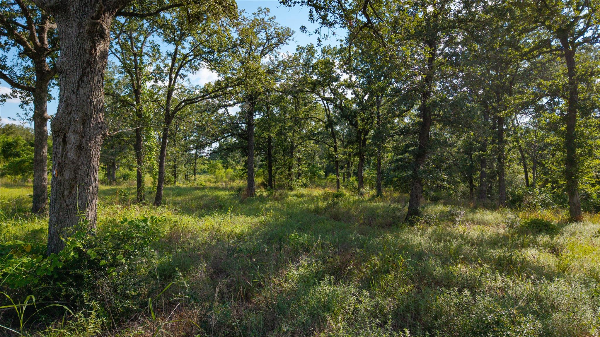206 Sayers RD — photo 5