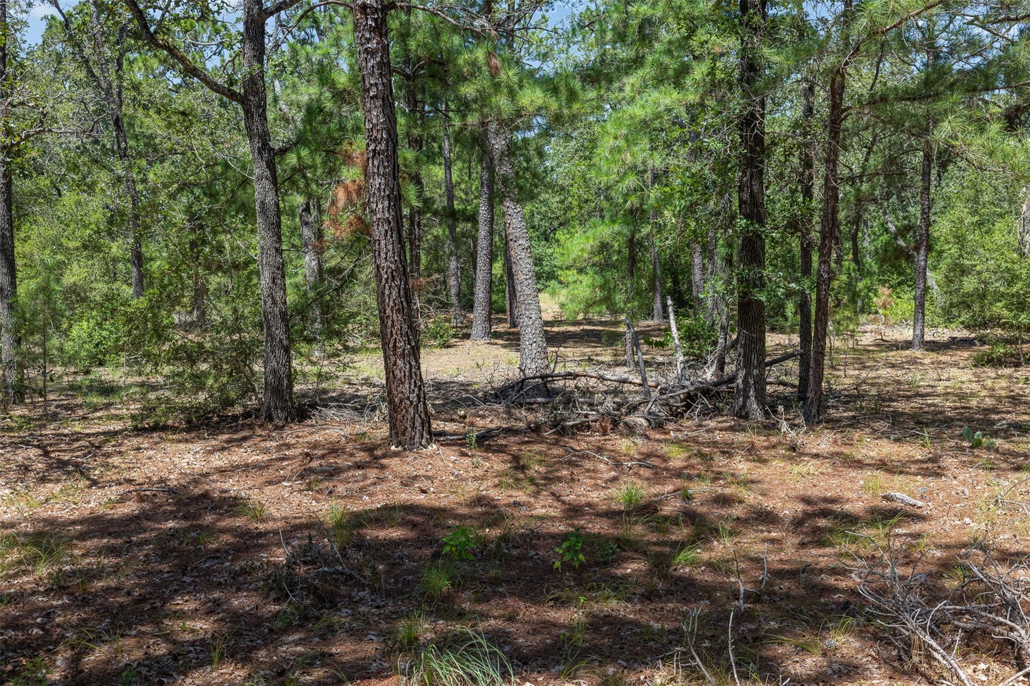 492 Old Potato RD — photo 5