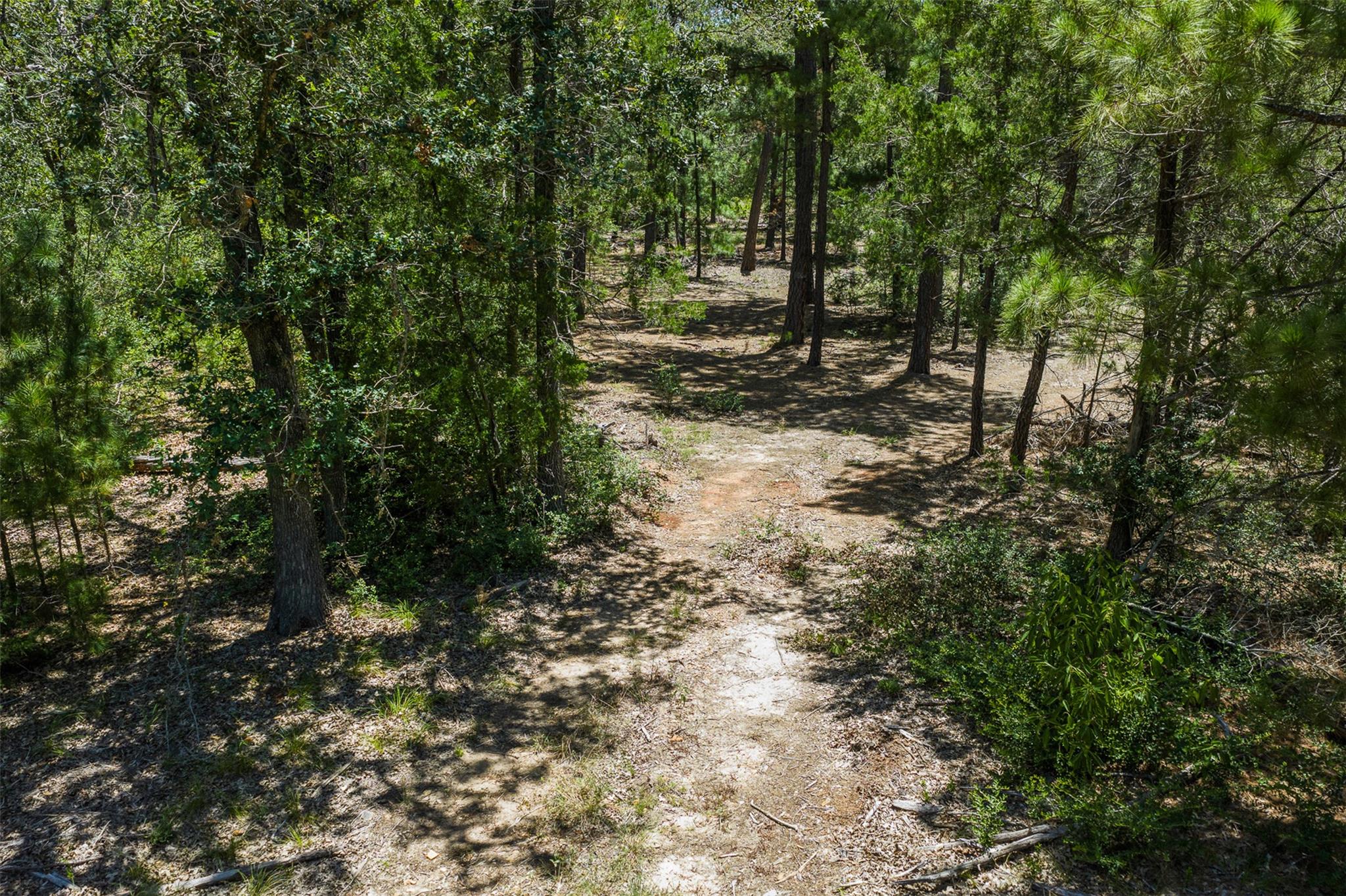 492 Old Potato RD — photo 4