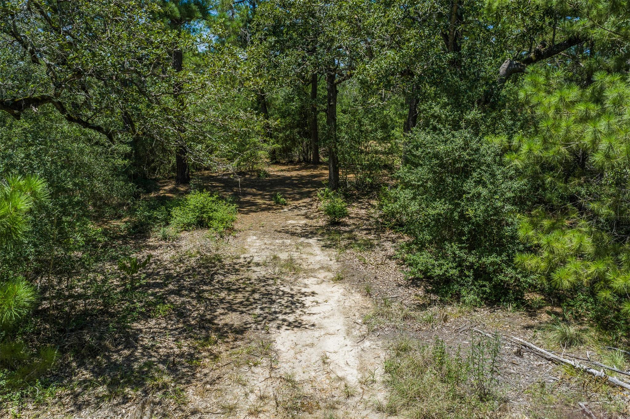 492 Old Potato RD — photo 3