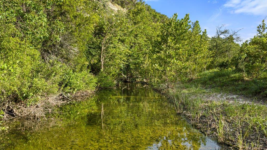 4605 Wild Cow CV — photo 3