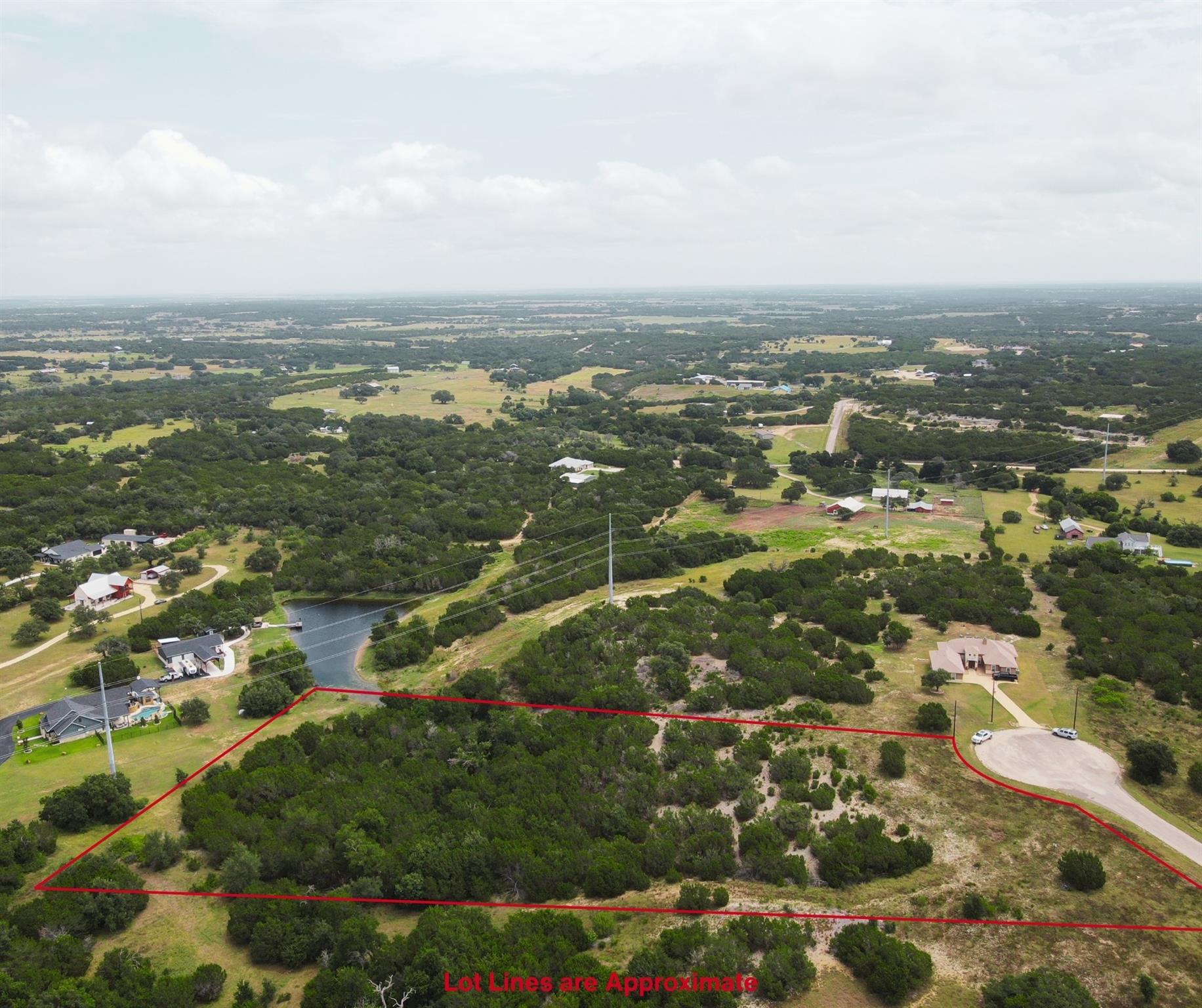 Lot 25 Rain Lily CT