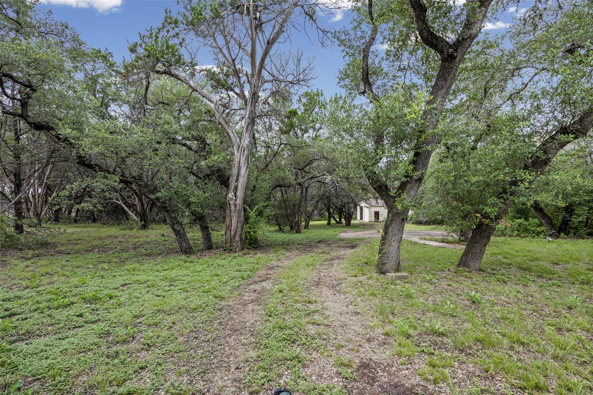 5311 Avispa WAY — photo 5