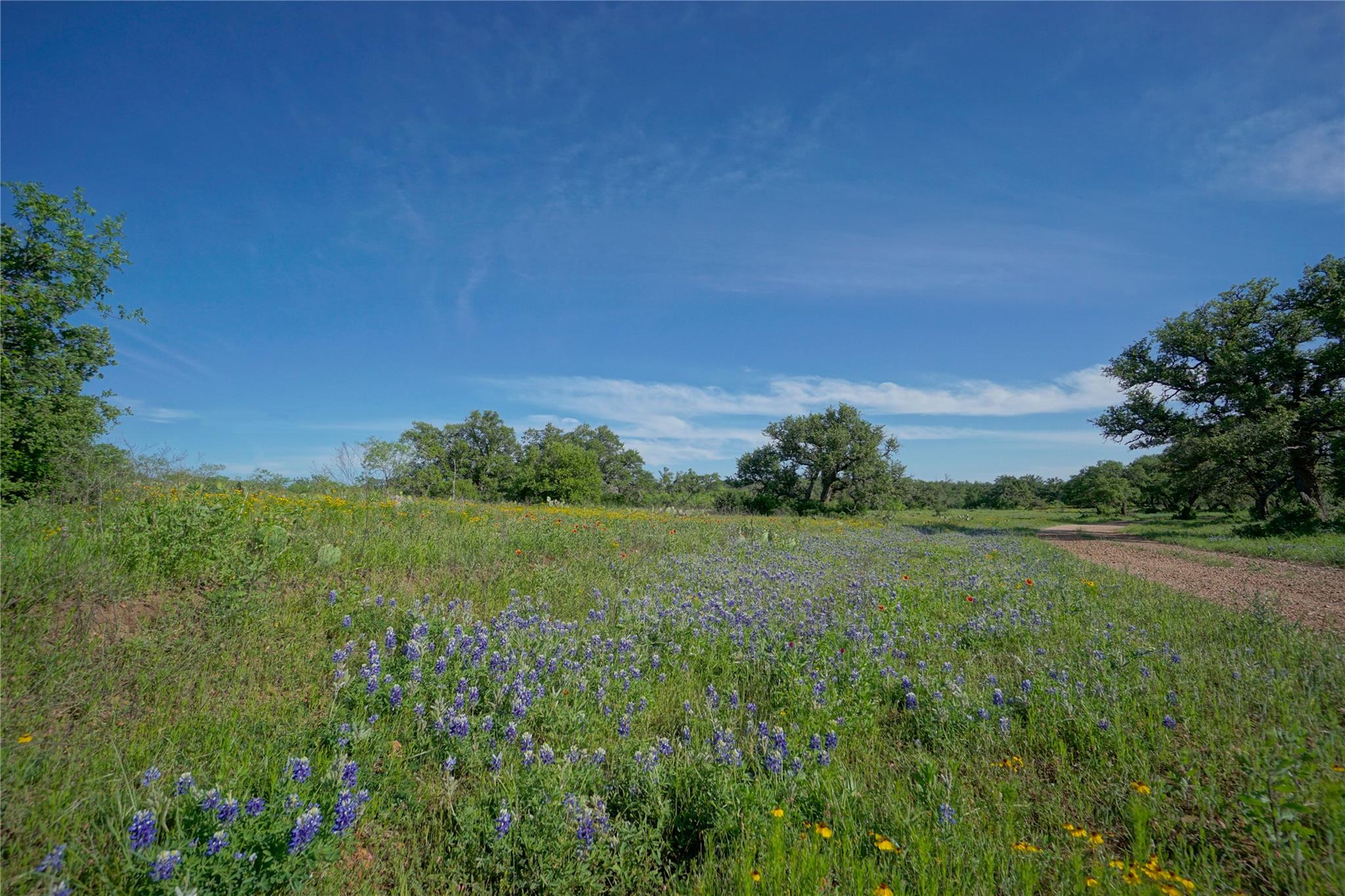 Lot 200 Swamp Creek Cove — photo 4