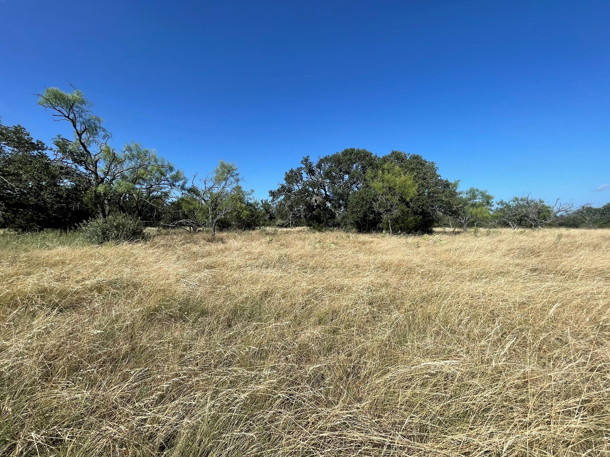 Lot 200 Swamp Creek Cove — photo 5