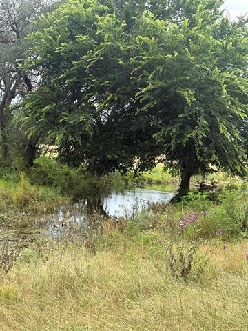 TBD County Road 200 — photo 3