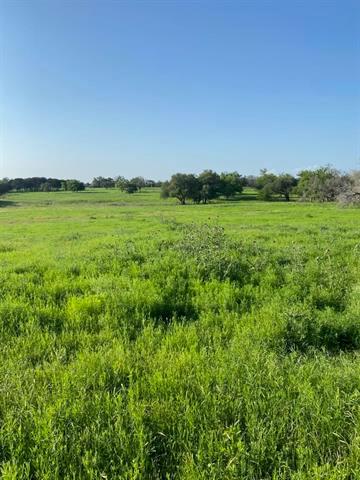 TBD County Road 200 — photo 4