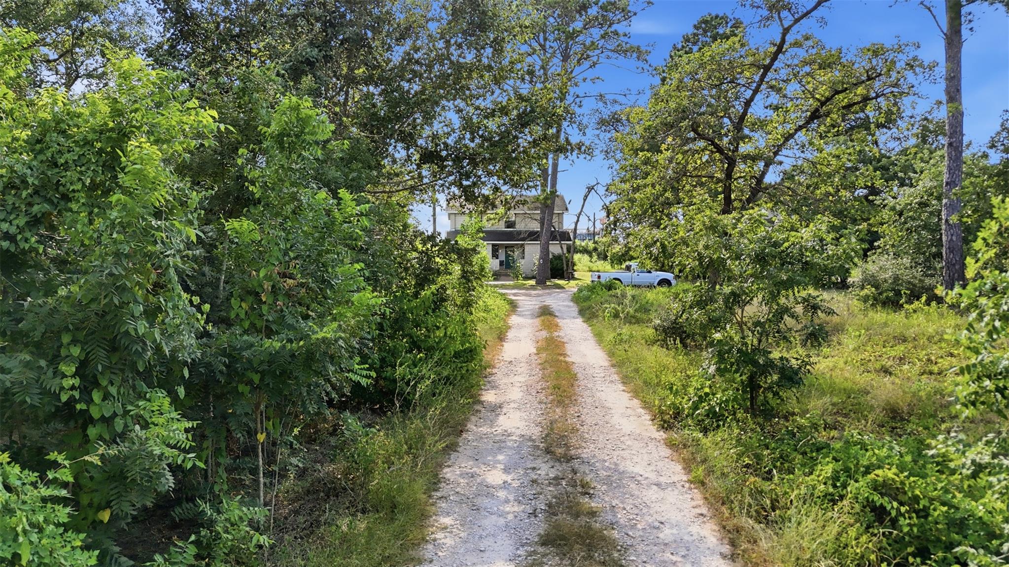 136 Pine Hill LOOP #C — photo 5