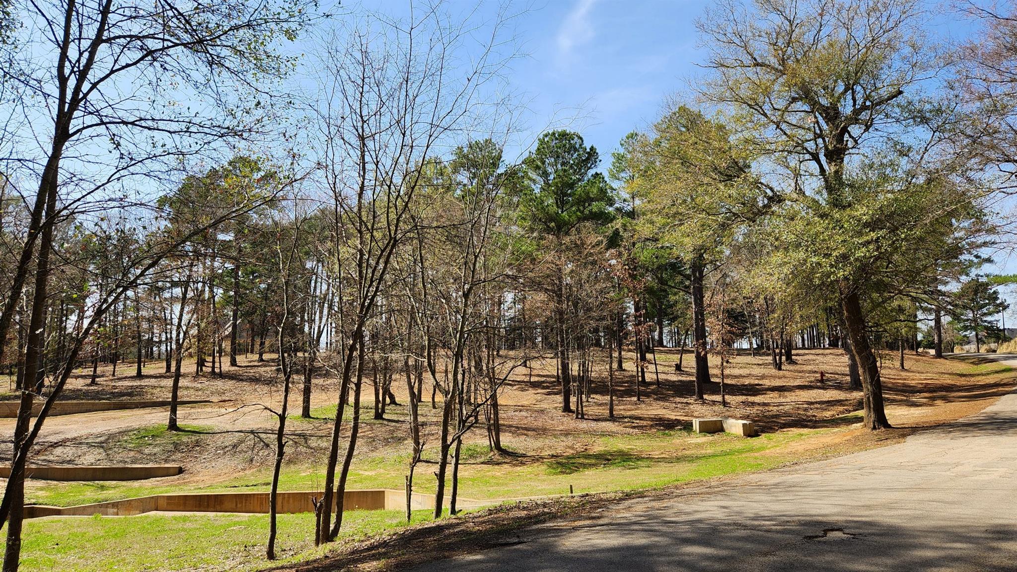 22540 County Road 1174 — photo 4