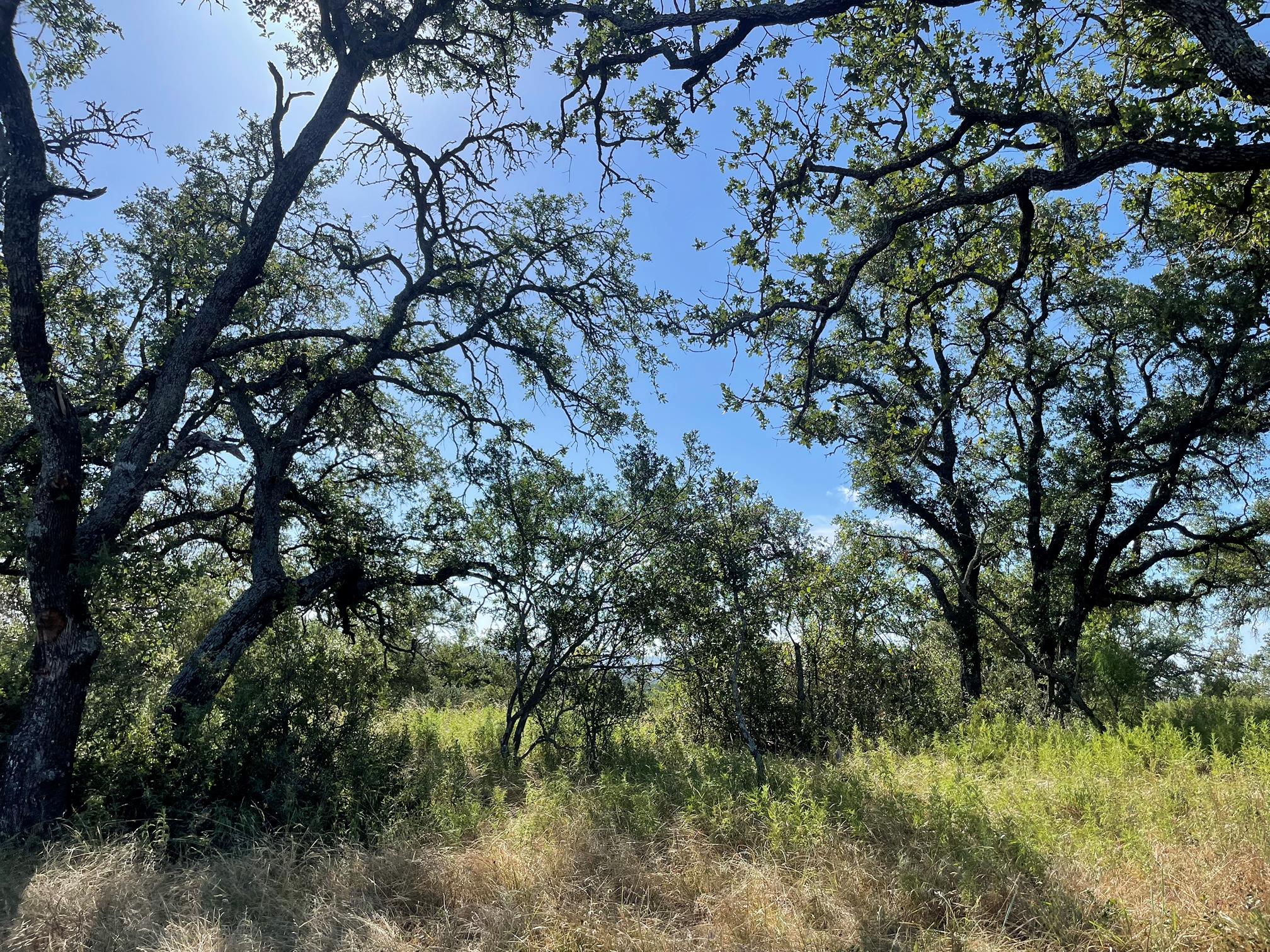 Lot 22 Legacy Ridge — photo 4
