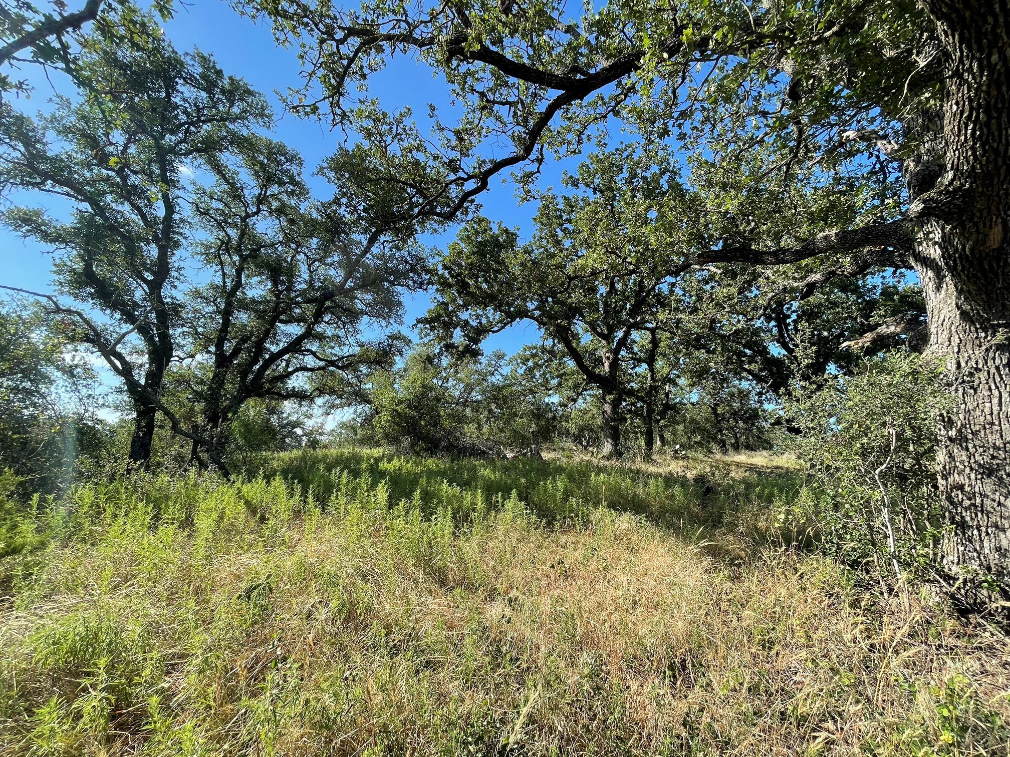 Lot 22 Legacy Ridge — photo 5
