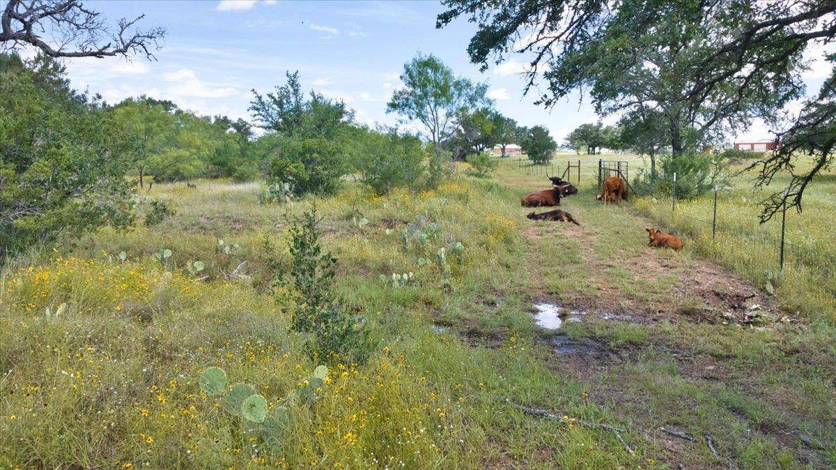 2144 CR 307 — photo 5