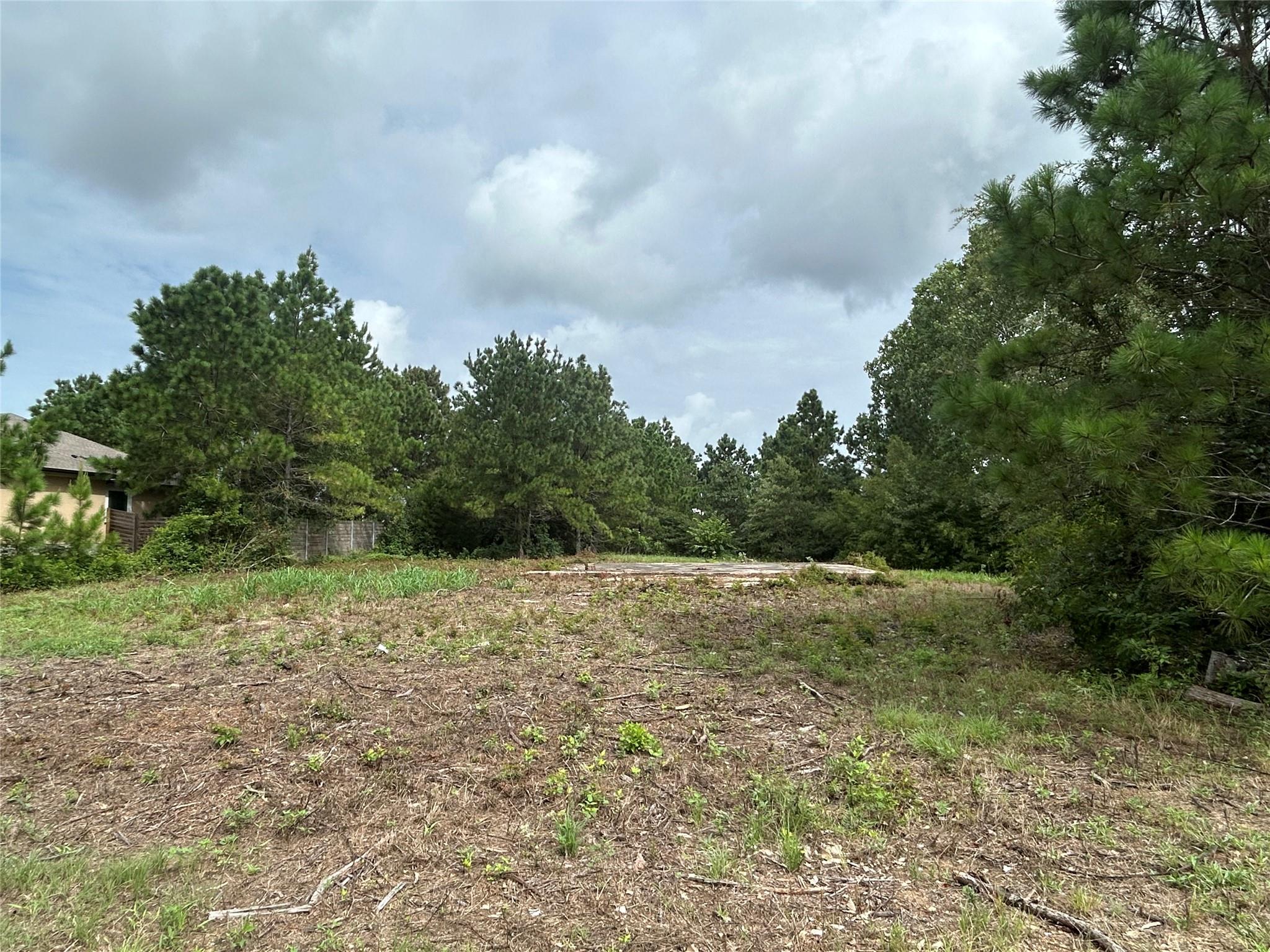 158 Cardinal LOOP — photo 5