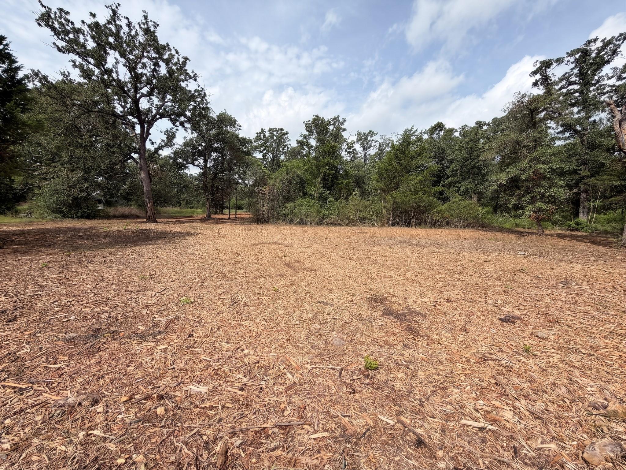 TBD PR 3428 (2.528 Acres in Lin Luce Ranches #2) — photo 3