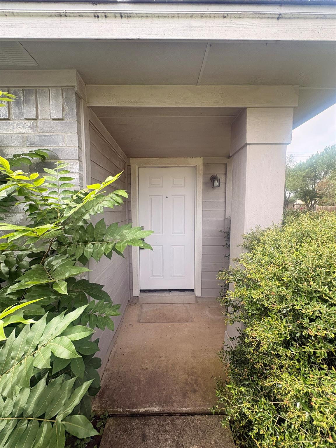 1725 Shire ST — photo 3