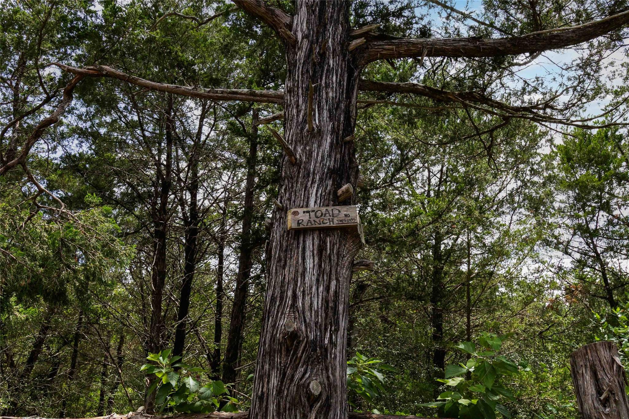 TBD Gotier Trace RD — photo 4