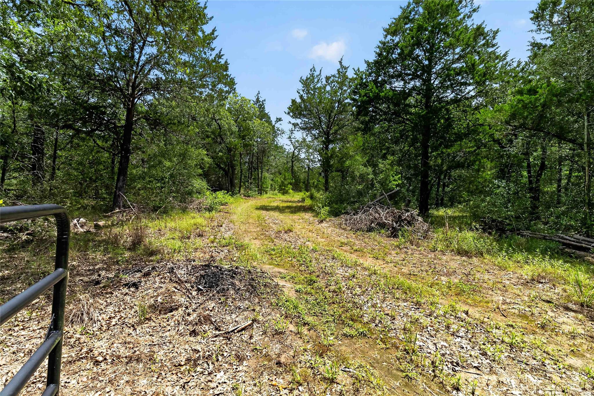 TBD Gotier Trace RD — photo 5