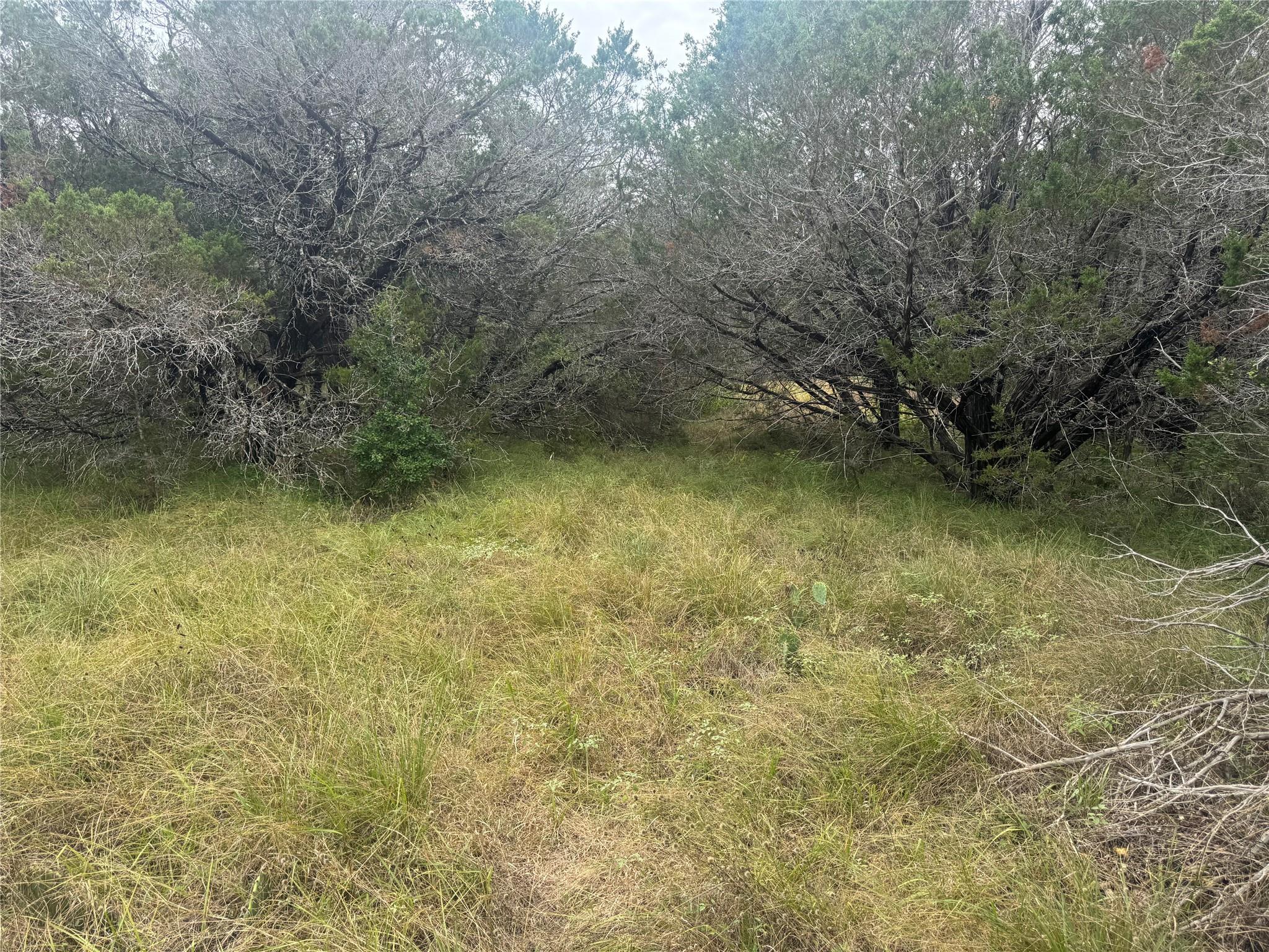 TBD Fort Croghan LN — photo 4