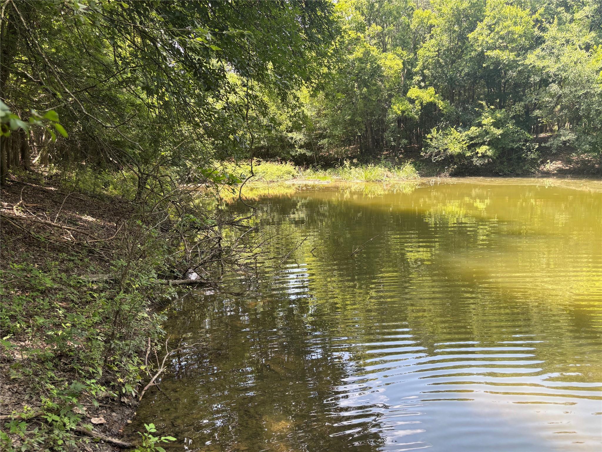 1500 Bottoms East RD — photo 5