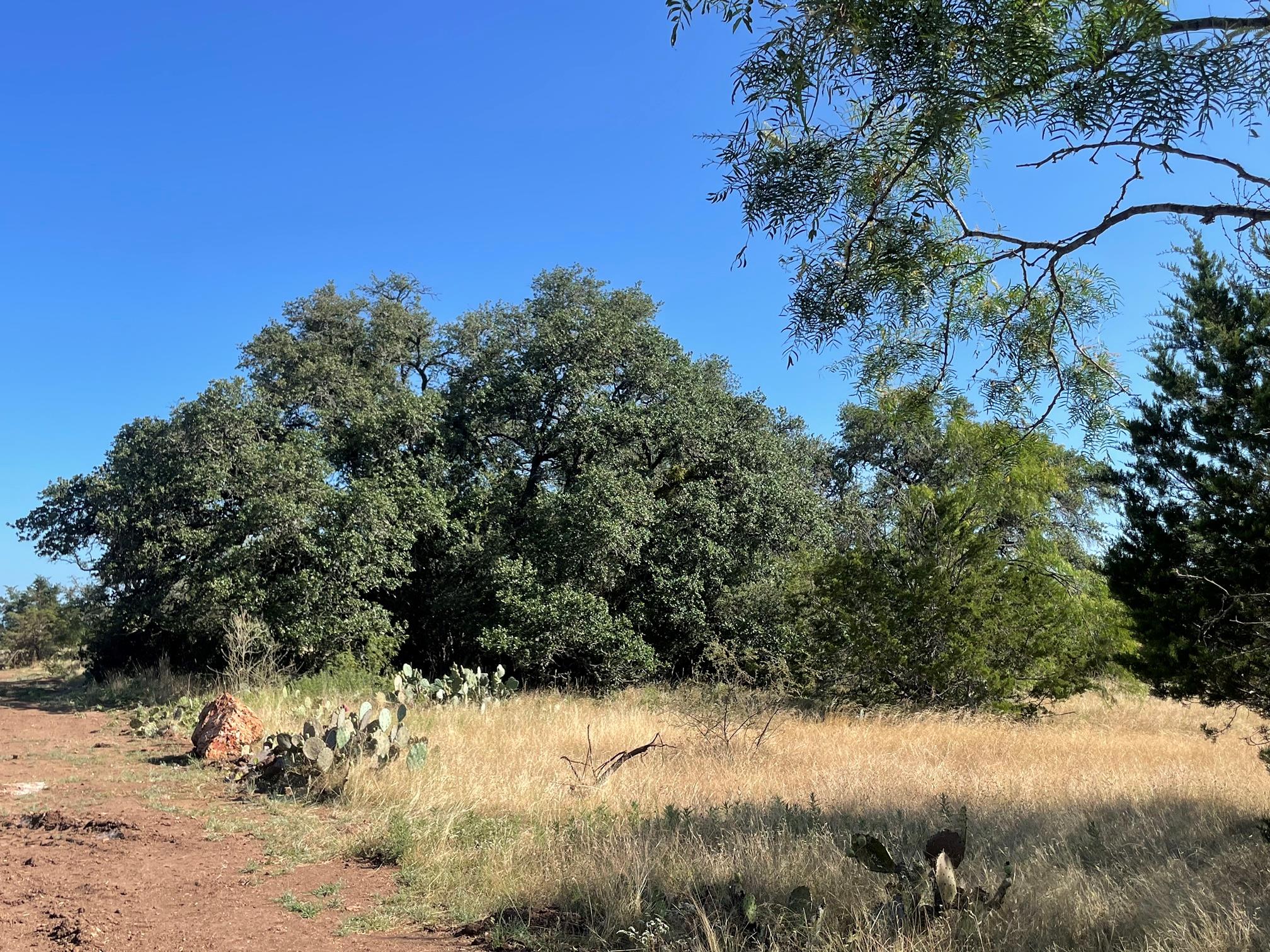 Lot 180 Swamp Creek Cove