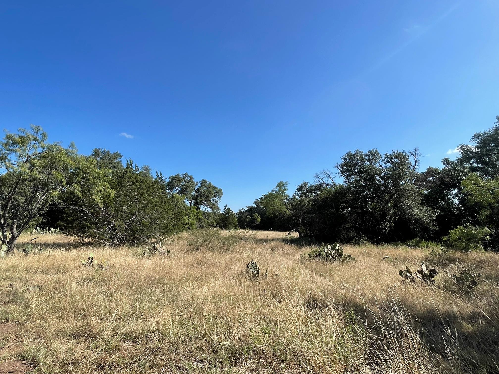 Lot 180 Swamp Creek Cove — photo 4