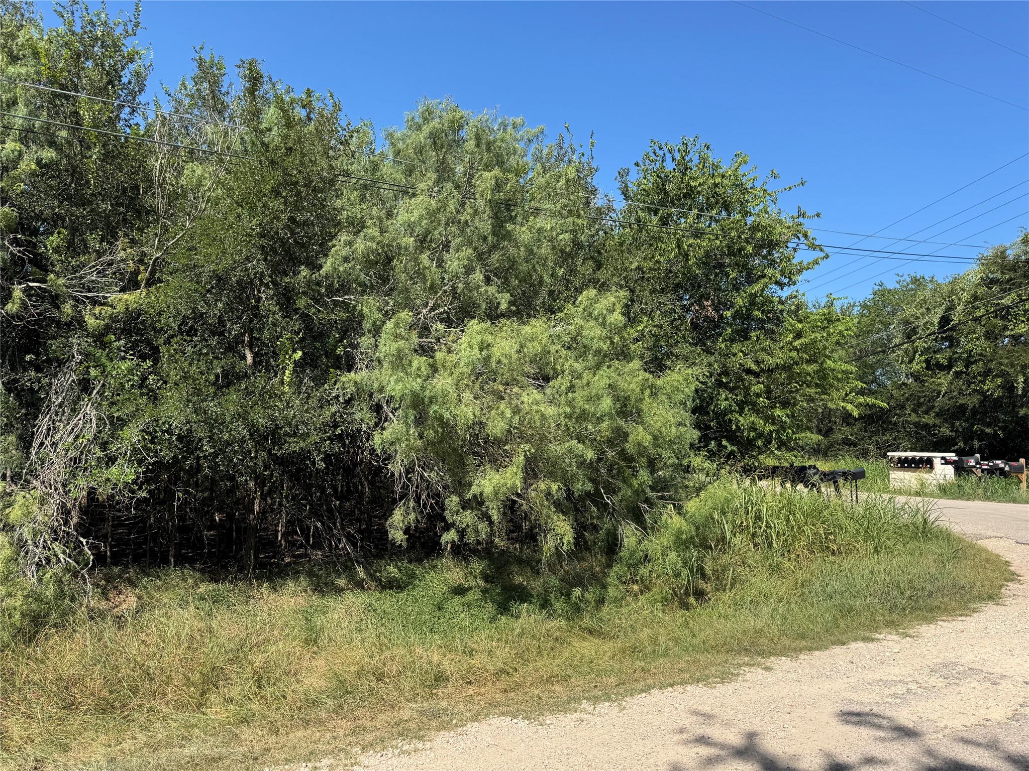 000 Pauwela LN — photo 5