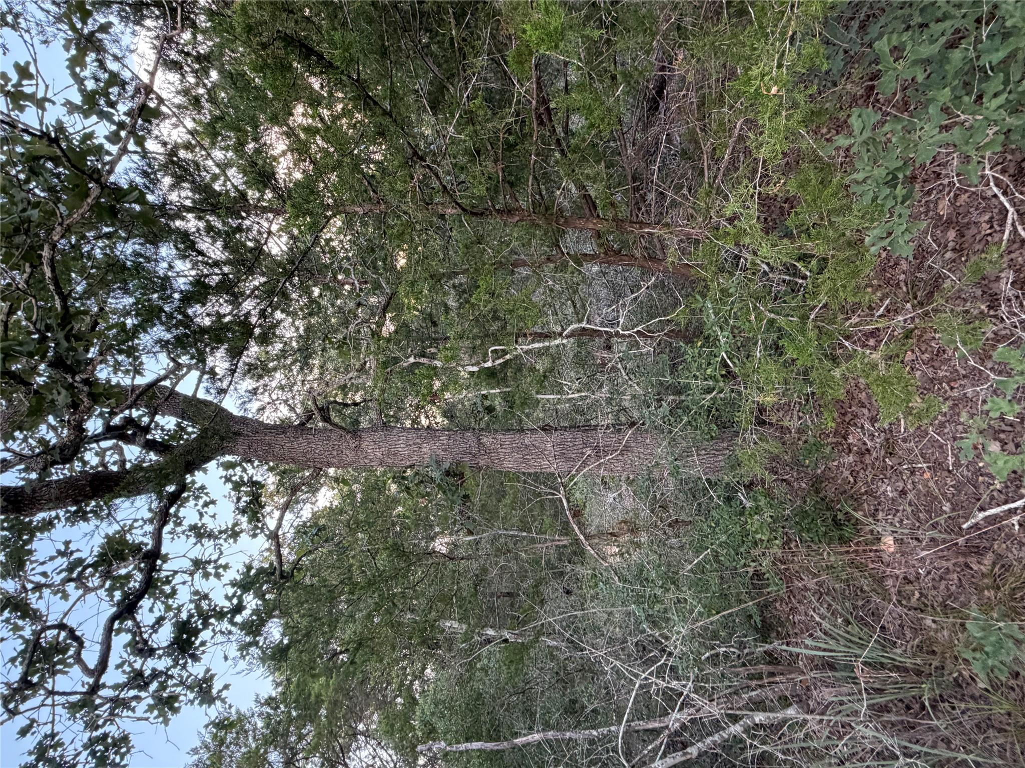 Lot 4 Spruce ST — photo 3