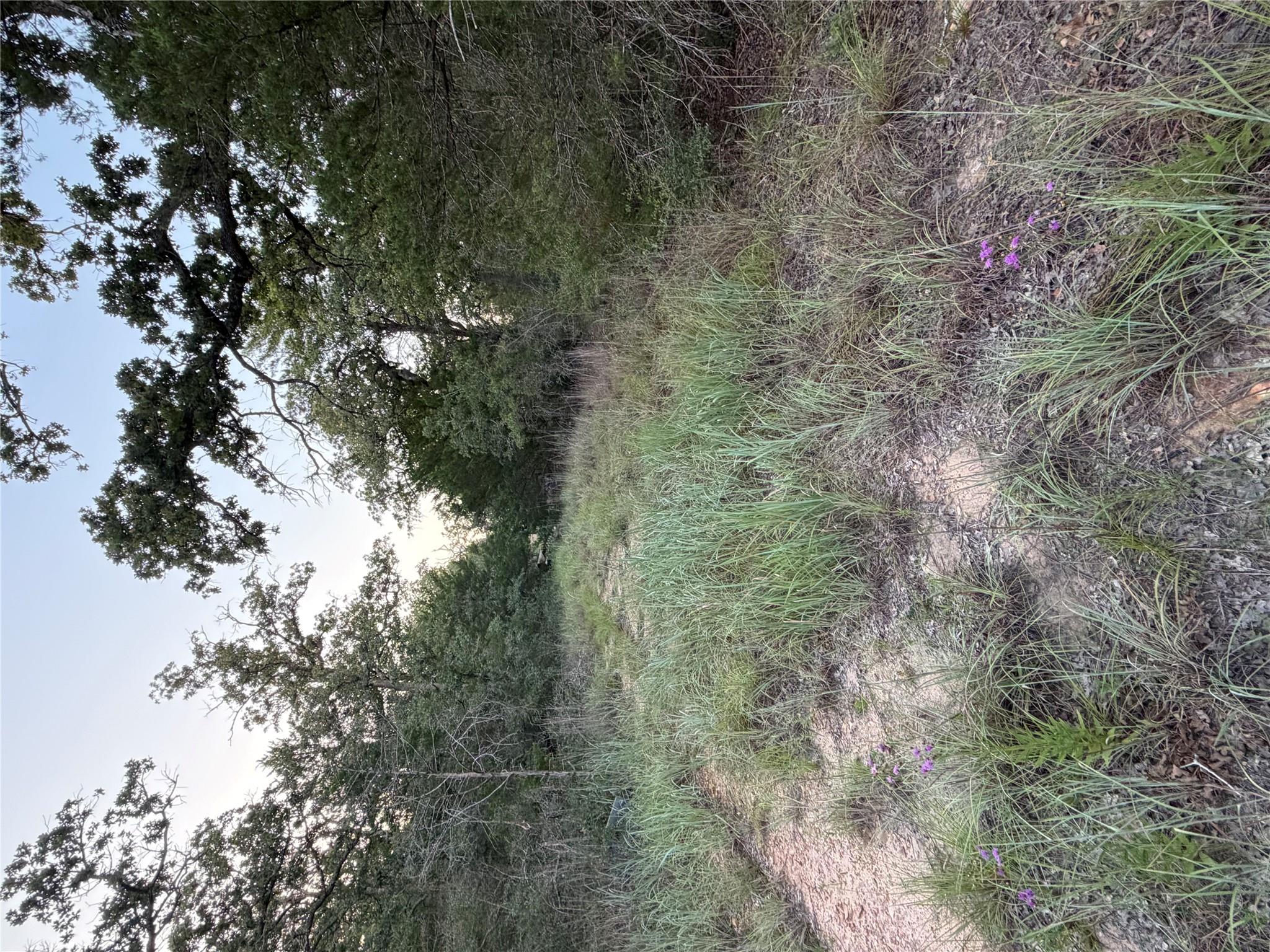 Lot 4 Spruce ST — photo 4