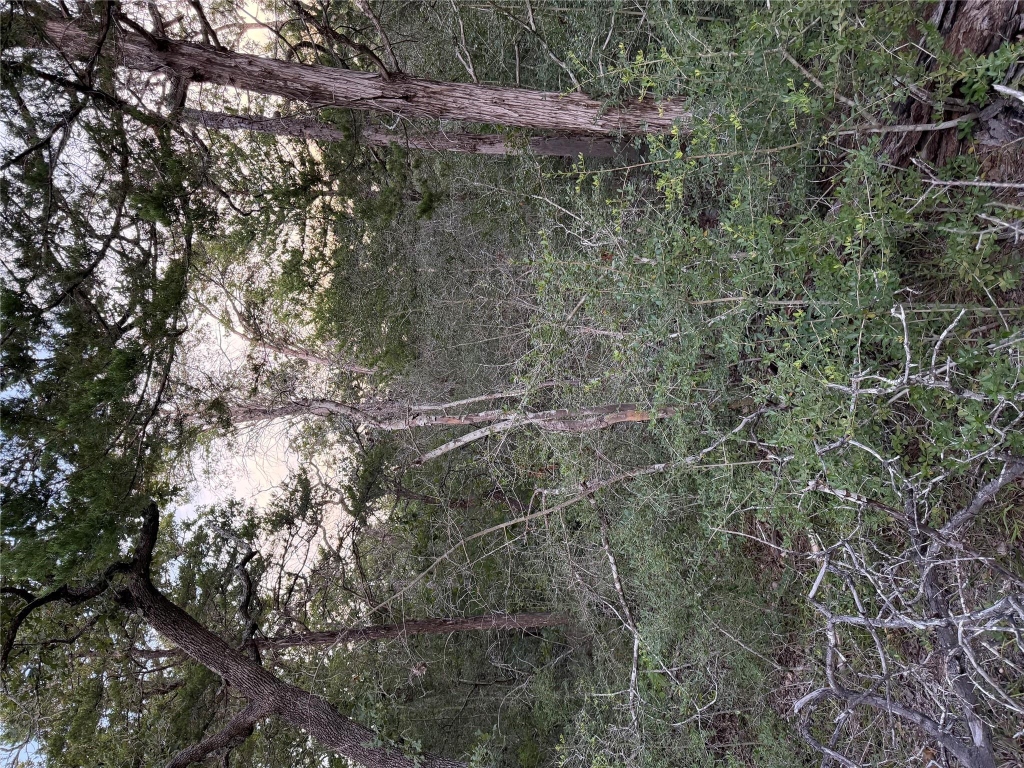 Lot 4 Spruce ST — photo 5