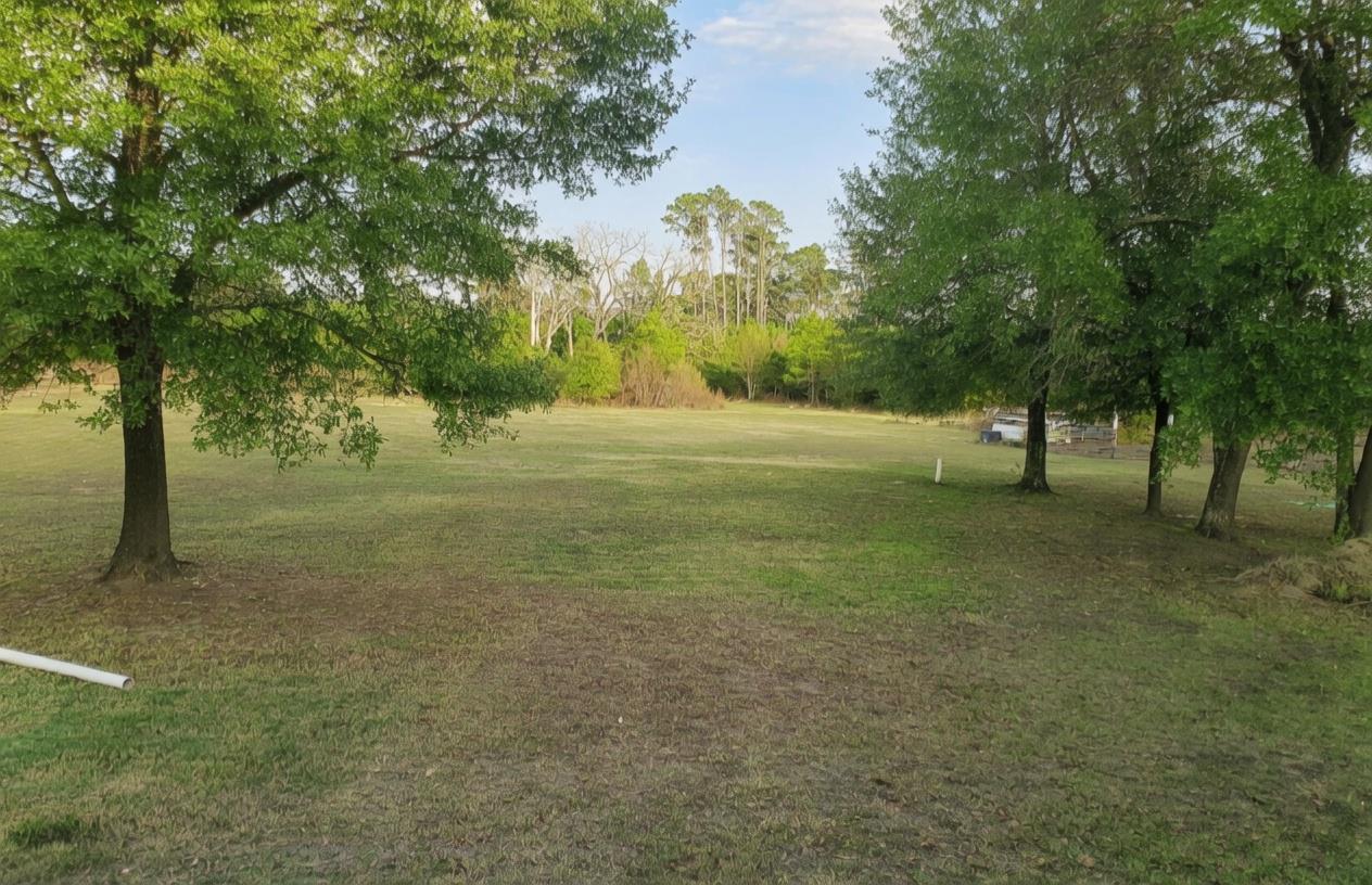 240 Pine Valley DR — photo 3