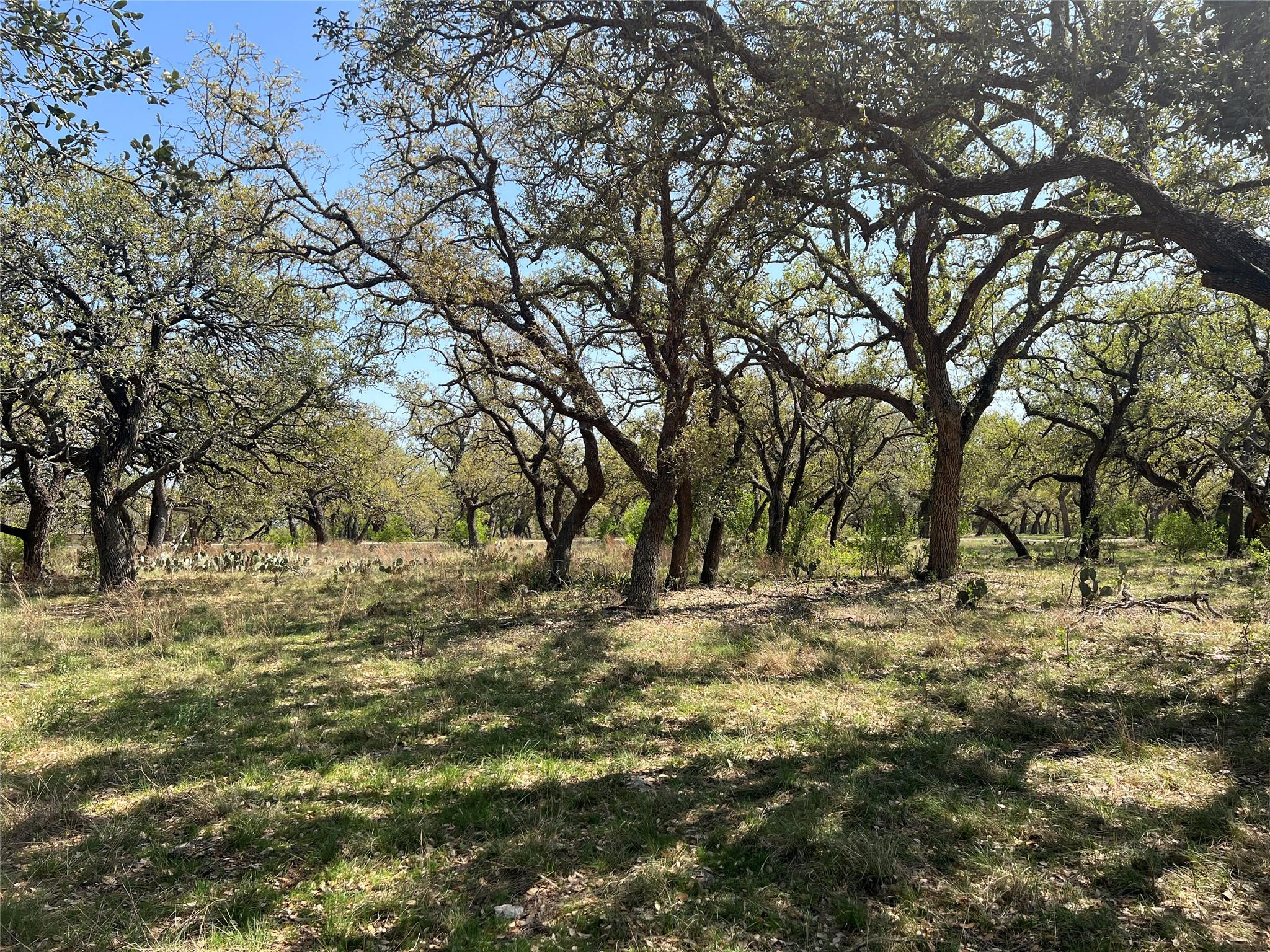 Lot 43 Waterbuck WAY