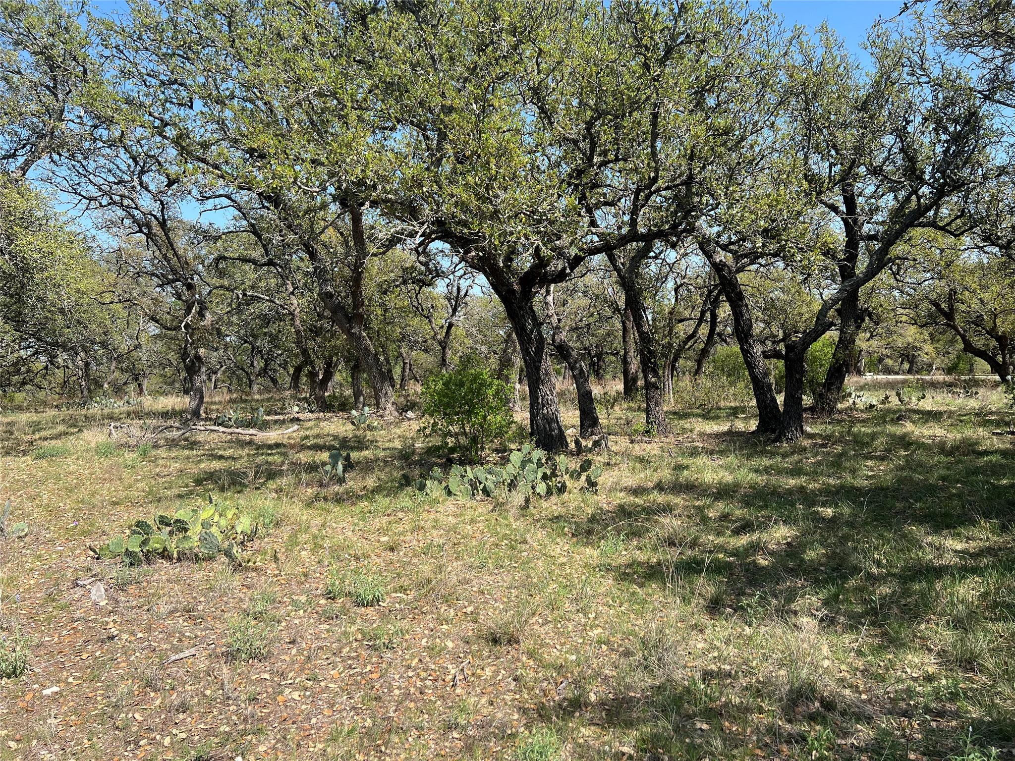 Lot 43 Waterbuck WAY — photo 3
