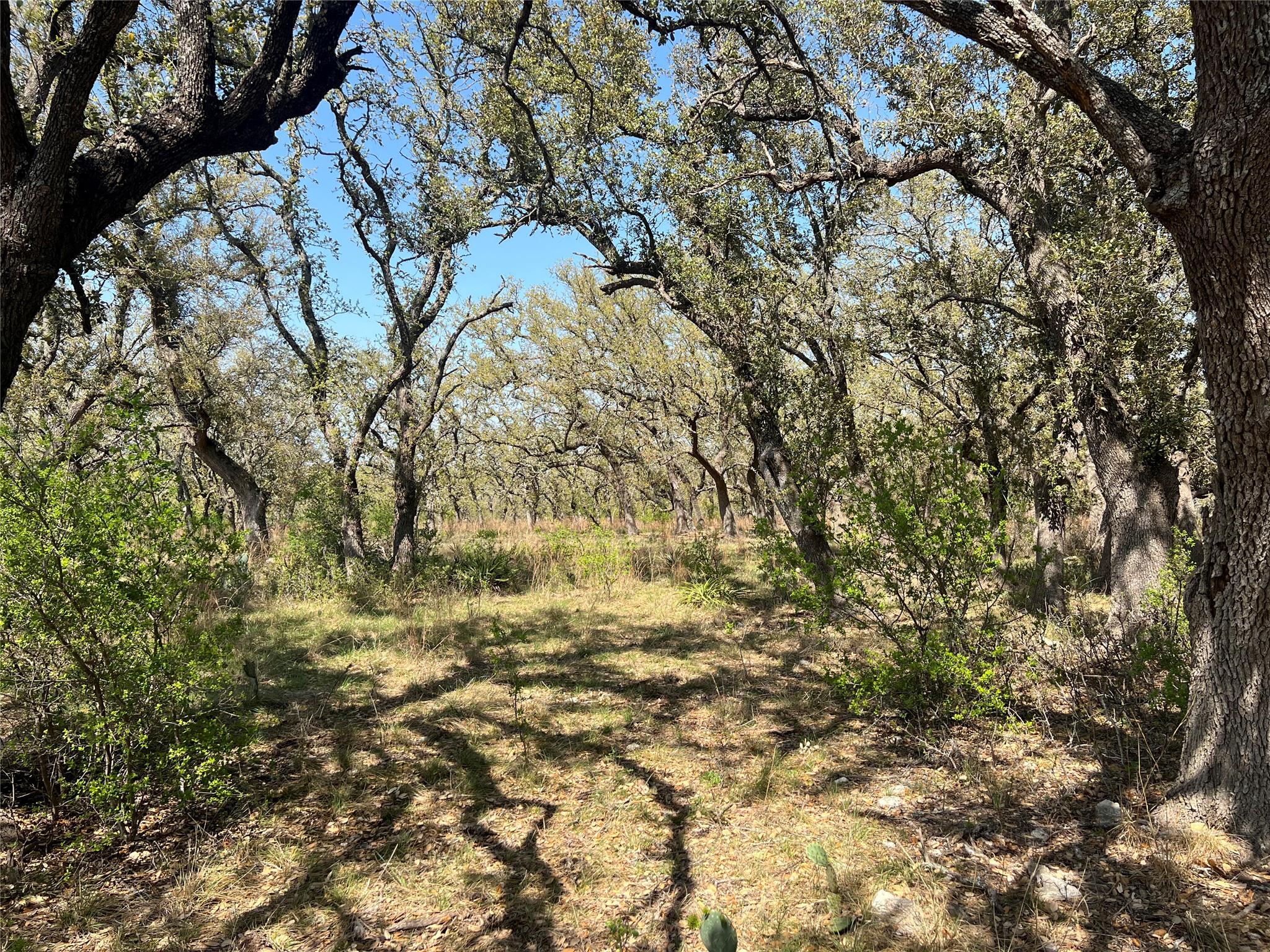 Lot 43 Waterbuck WAY — photo 4