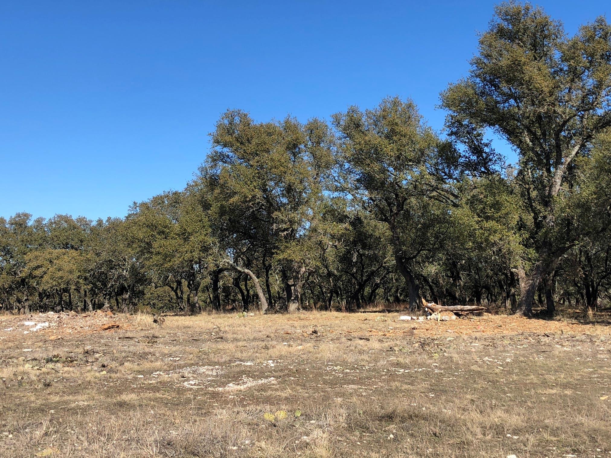 Lot 43 Waterbuck WAY — photo 5