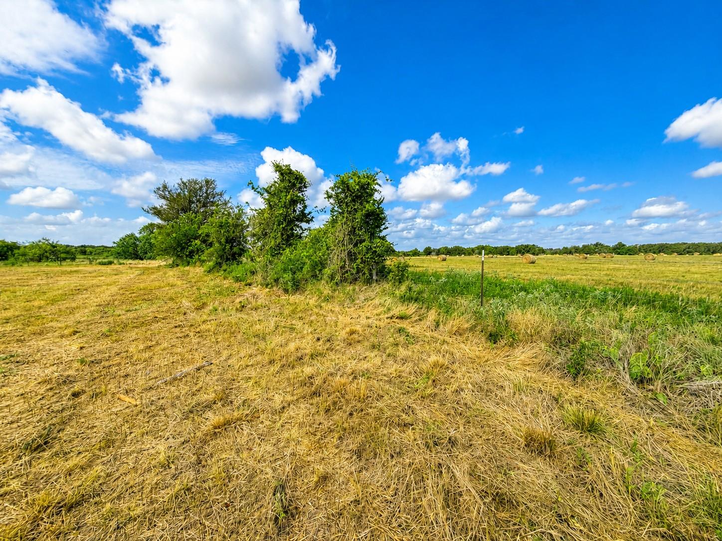 1155 FM 1600 — photo 3
