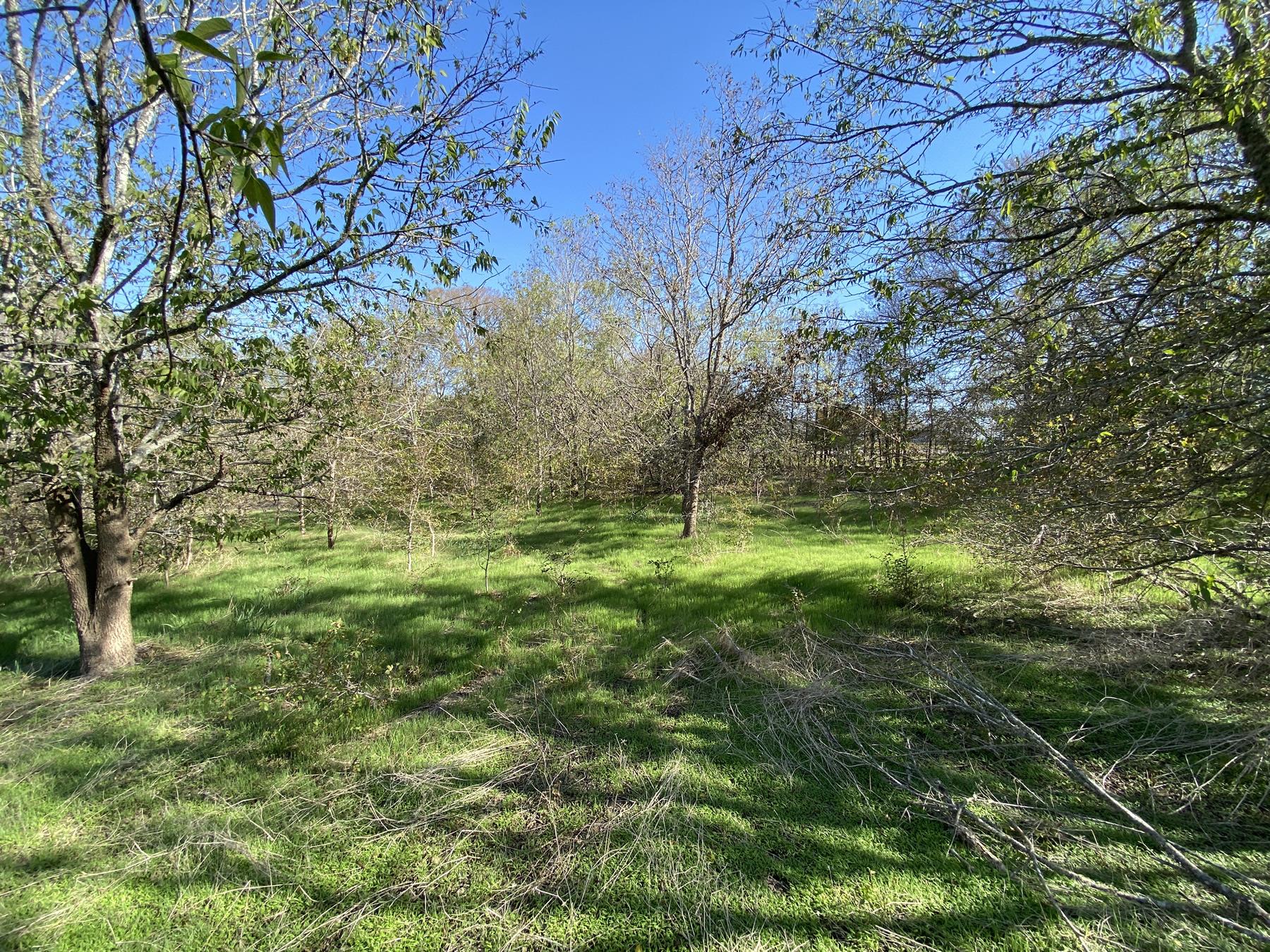 7603 Timber Hills DR — photo 3