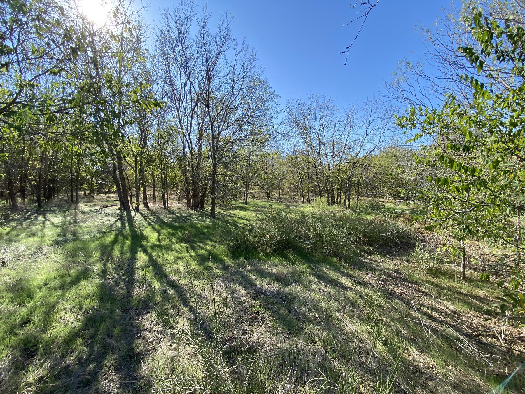 7603 Timber Hills DR — photo 4