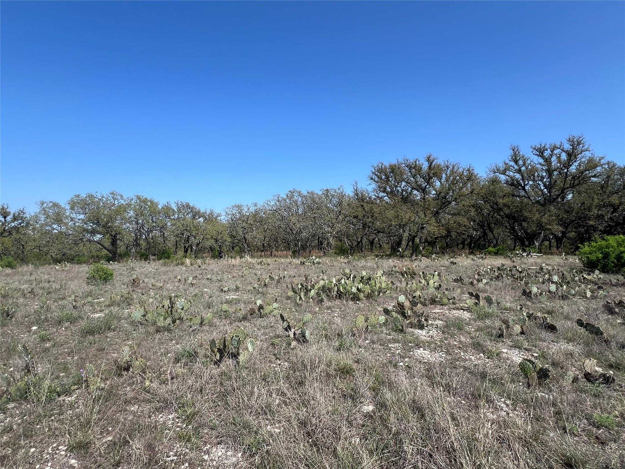 Lot 42 Waterbuck WAY — photo 5