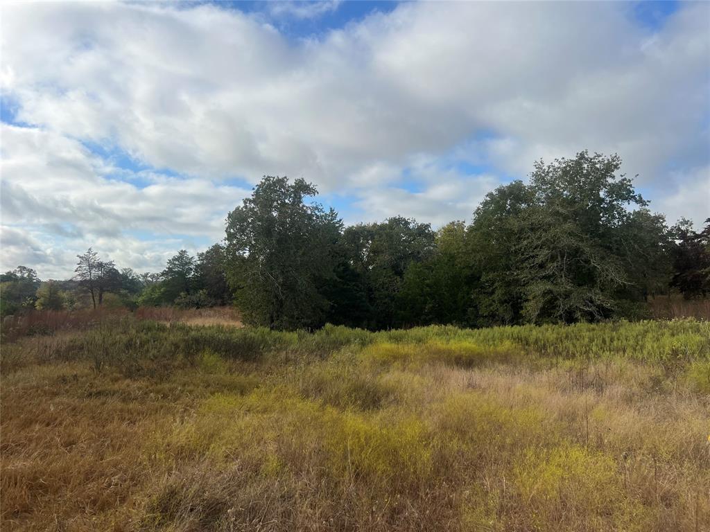 Tract 25 Walleye Creek — photo 3