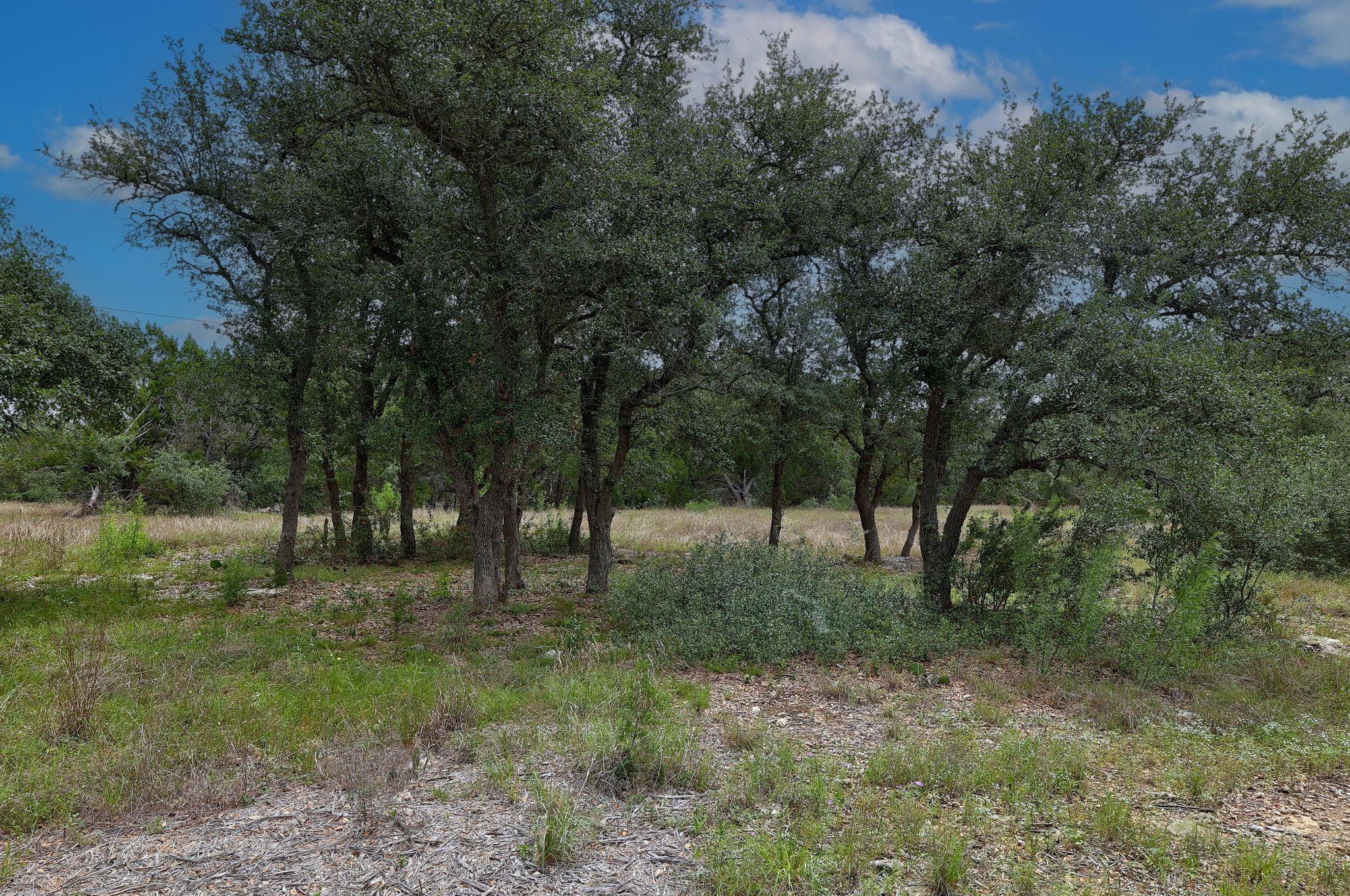 1400 Panther Creek RD — photo 5