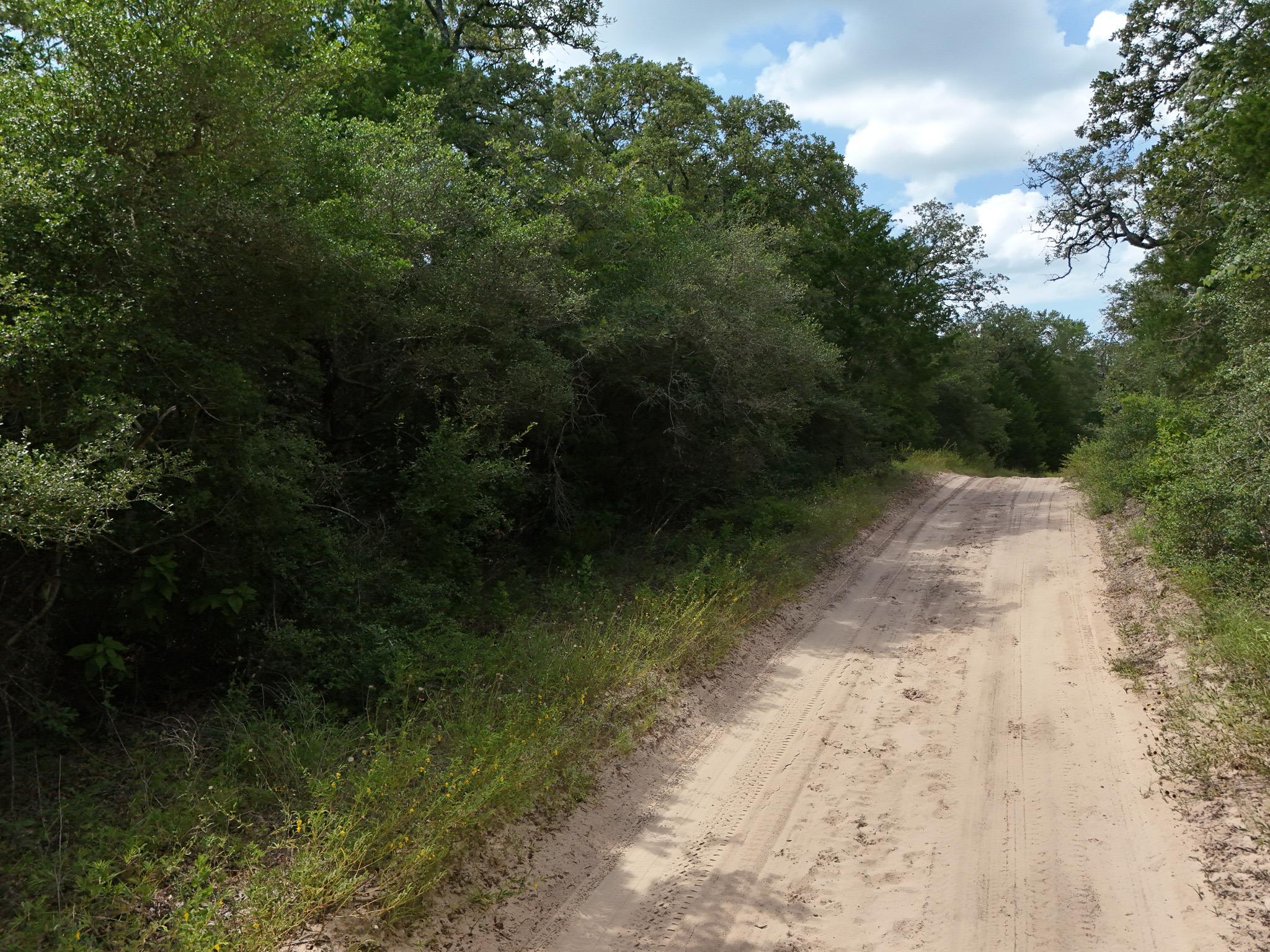 TBD Starlight PATH — photo 5
