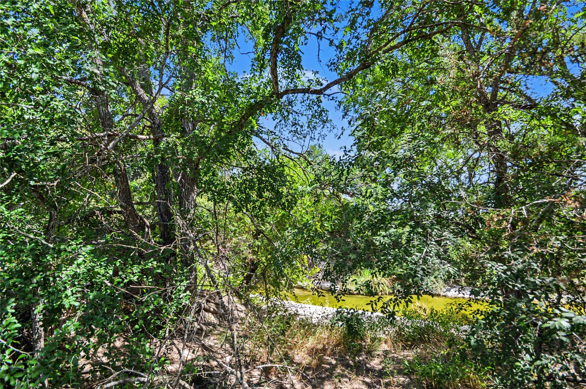 3250 County Road 2207 RD — photo 3