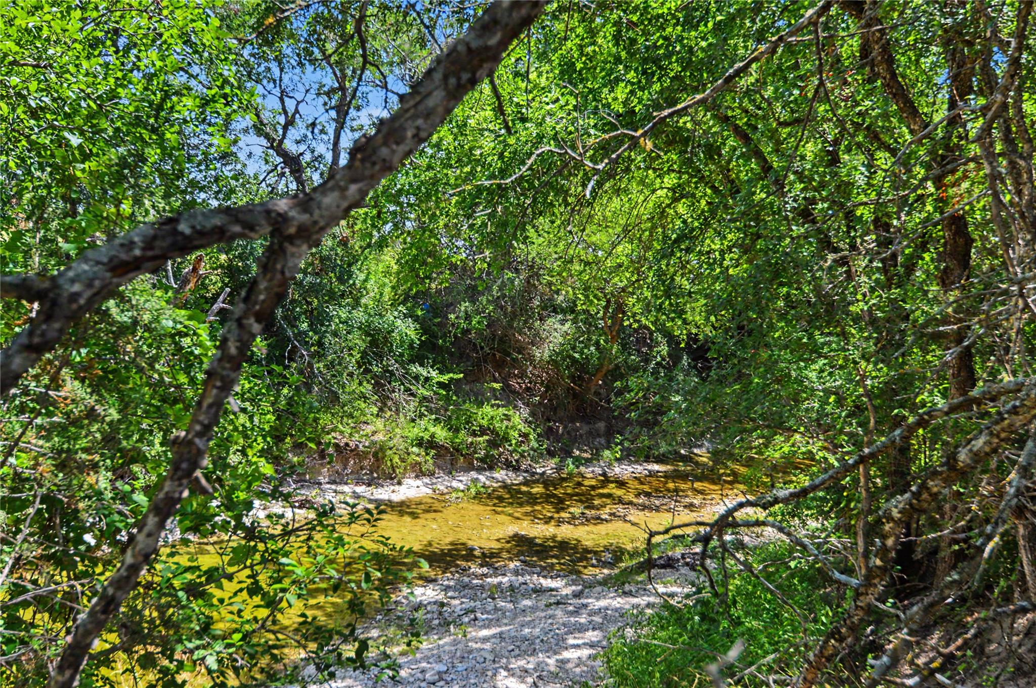 3250 County Road 2207 RD — photo 4