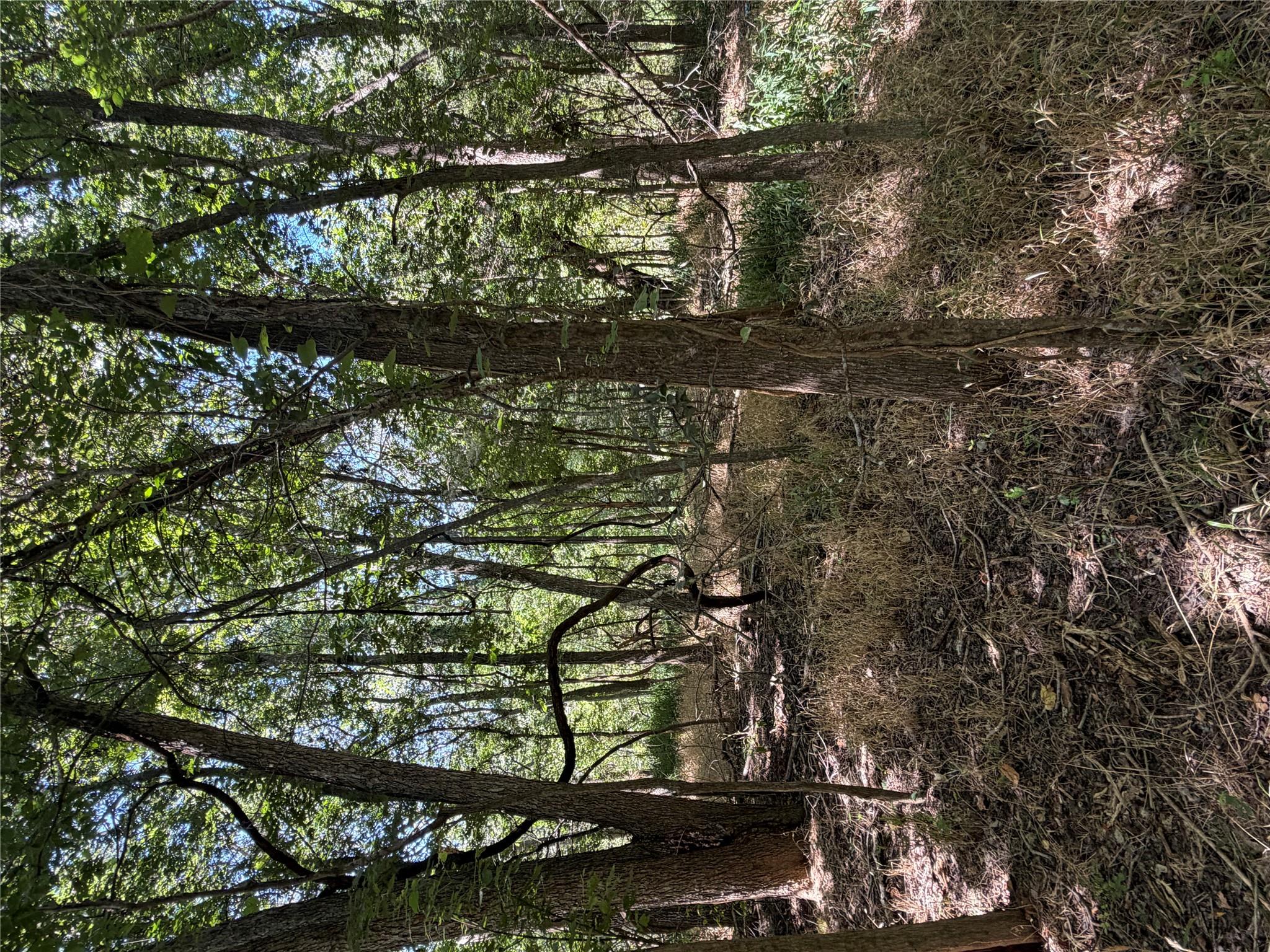 Lot 677 Kaukonahua LN