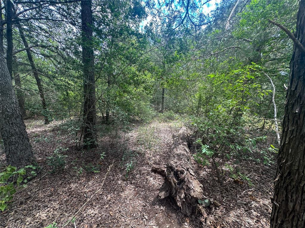 246 Arrowhead DR — photo 4
