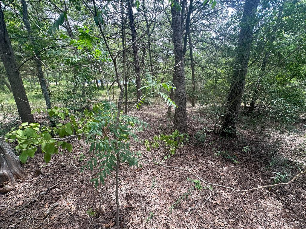 246 Arrowhead DR — photo 5